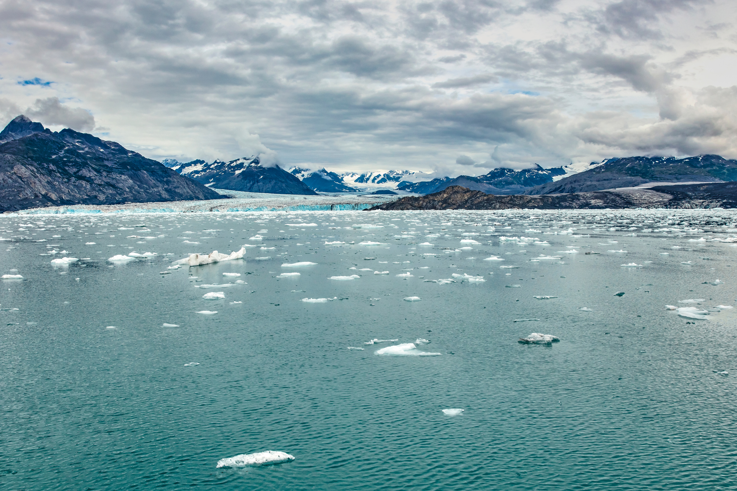 william henry bay, alaska (2).webp